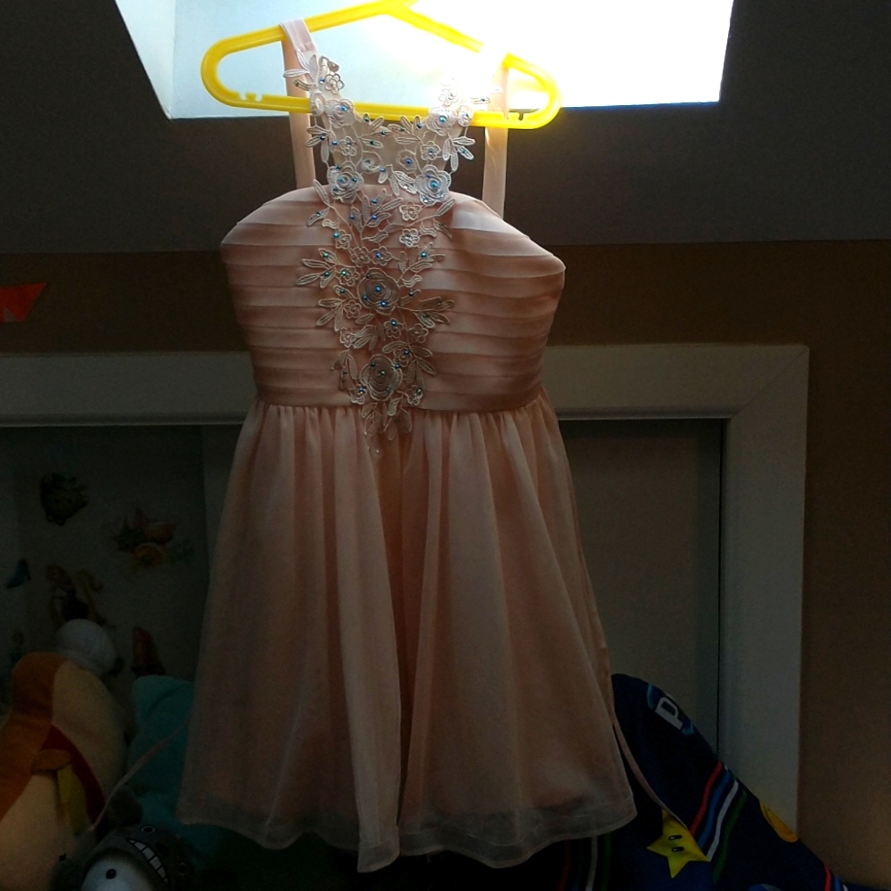 Pale pink embroidered party dress